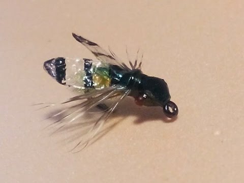 Видео: Муха с органзой