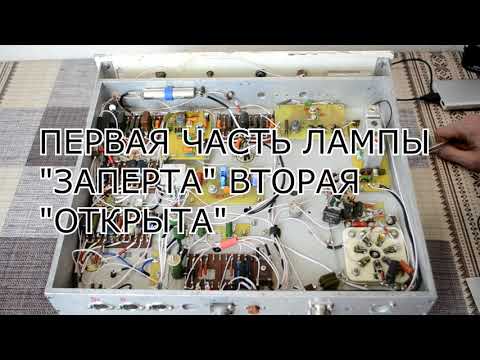 Видео: Это видос про альбатрос