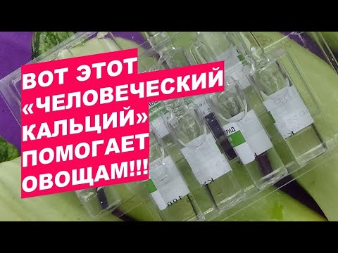 Видео: Вот этот "человеческий кальций" здорово помогает овощам This human calcium helps vegetables