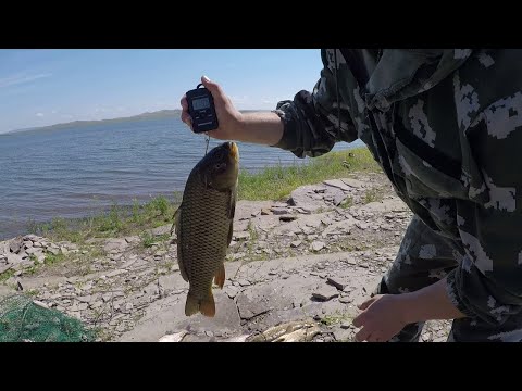 Видео: рыбалка на квх ловля сазана