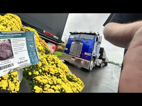 Видео: 3 выгрузки 1 загрузка за день, работа за 26$ в час в США, дерево за 3600$Я в шоке от цен на цветы…