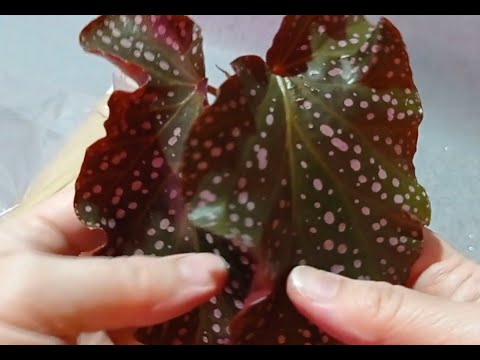 Видео: Распаковка посылки 02.05.2023