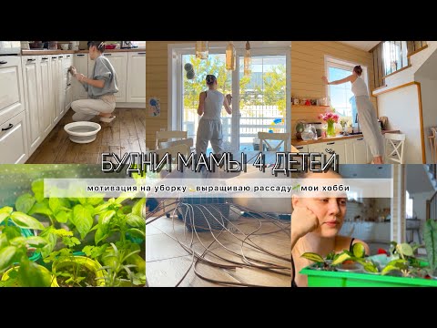 Видео: БУДНИ МАМЫ 4 ДЕТЕЙ🌿Выращиваю рассаду, мотивация на уборку, мое хобби