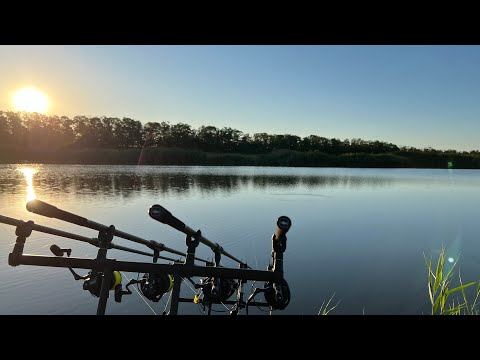 Видео: Рыбалка в Ростовской области 2023!!! Вот и ЛЕТО ПРОШЛО