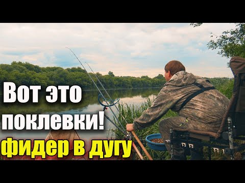 Видео: Рыба гнет фидер в дугу...Вот это поклевки!!! Рыбалка на реке Дон на фидер
