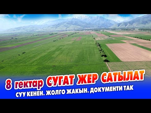 Видео: 8 гектар сугат ЖЕР сатылат ~ БЕДЕ эгилген ~ СУУНУН башы, КӨК КИТЕБИ бар. Чоң жолго да жакын