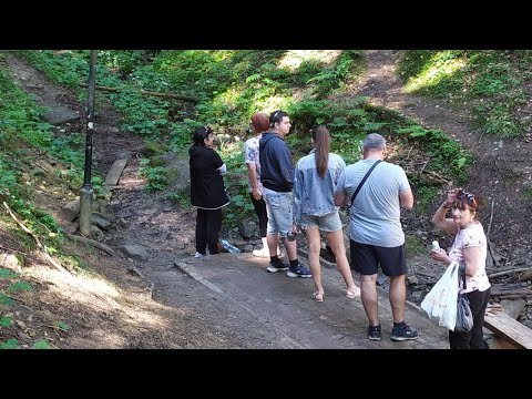 Видео: Східниця 2022: ДіАнна, Будьмо, джерело N1 і через ліс до джерела N3, білки