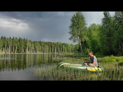 Видео: Клёв не ахти, зато погода чудесная #483