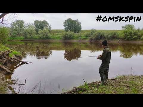 Видео: OmskSpin #111 Очень результативная рыбалка на р. Омь в Омской области. #рыбалка #fishing #сибирь