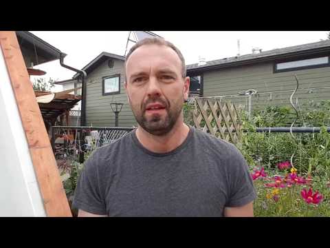 Видео: Значительное улучшение дизайна наших влагоотводящих кроватей