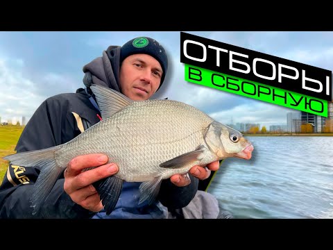 Видео: РЫБАЛКА НА ФИДЕР / ЛОВЛЯ ЛЕЩА / FROS FISHING