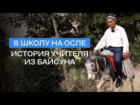 Видео: «В кишлаках учителей очень уважают». Преподаватель математики каждый день ездит на работу на осле