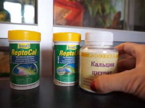 Видео: Витаминные и кальциевые подкормки для черепах