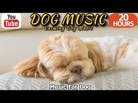 Видео: 20 часов любимой музыки собак🐶💖Музыка для сна собак 🐶🎵 Музыка для снятия беспокойства при разлуке🎵