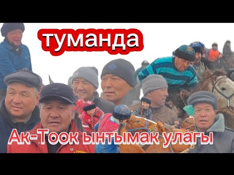 Видео: Ак-Тоок ынтымак улагы туманда