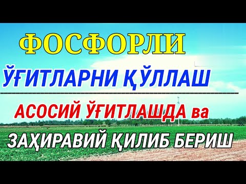 Видео: FOSFORLI O‘G‘ITLARNI QO‘LLASH. 112-son. ФОСФОРЛИ УГИТЛАРНИ ИШЛАТИШ