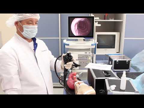 Видео: ПСА Эндоскопия  Гастроскопия