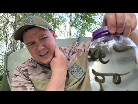 Видео: «Комаринный рай» Рыбалка в Олевске .