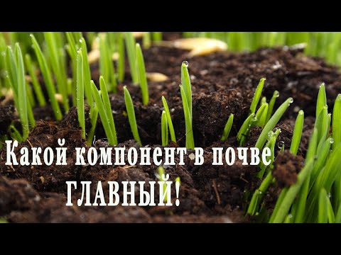 Видео: Сделать землю почву плодородной учимся у природы земледелие