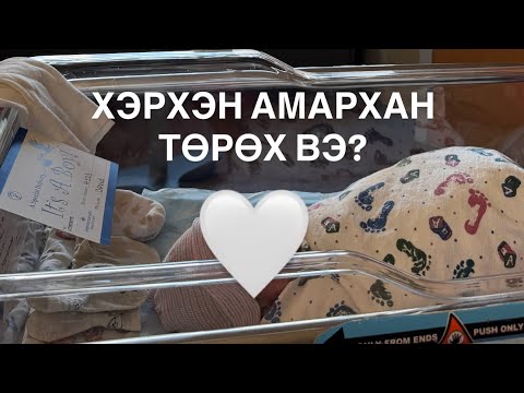 Видео: ХЭРХЭН АМАРХАН ТӨРӨХ ВЭ? Өөрийнхөө туршлагаас хуваалцъя..