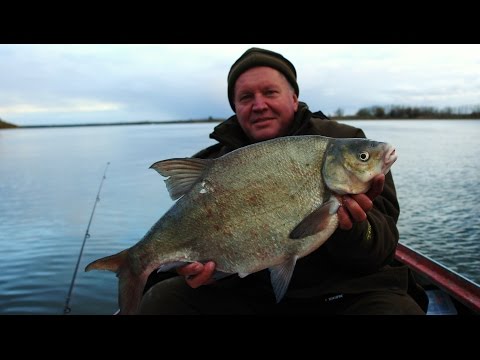 Видео: Донка. О сколько разных рыб живет в яме! И поклевок немерено.