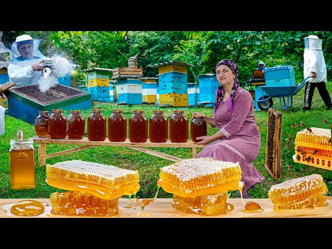 Видео: Натуральное пчеловодство | Добыча меда и домашние медовые десерты!