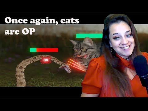 Видео: Реакция Лорен! *В которой коты продолжают быть лидерами* Как коты сломали игру — Tierzoo