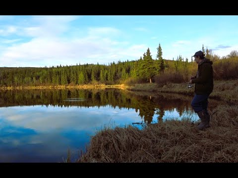 Видео: Аляска.Разведка новых озер.Рыбалка.