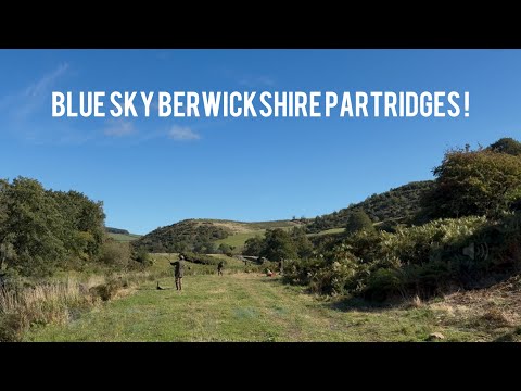 Видео: Первый день сезона на лучших полях Берикшира!