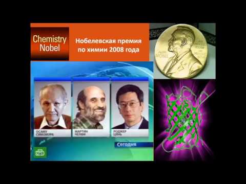 Видео: Лекция 28. Кратасюк Валентина Александровна - Научная проблема, научный метод, научный проект