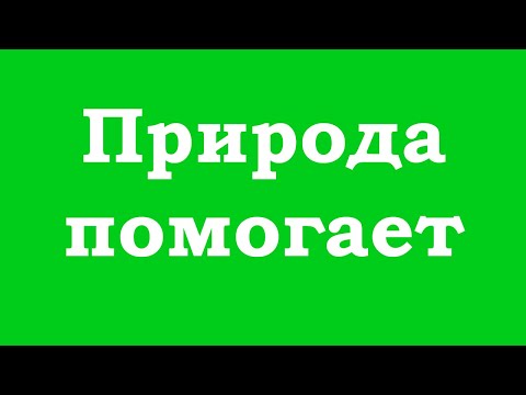 Видео: Чем помогает природа