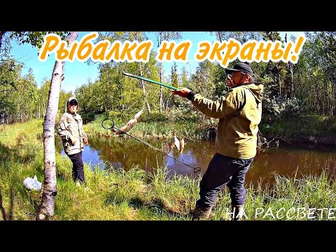 Видео: Рыбалка на экраны