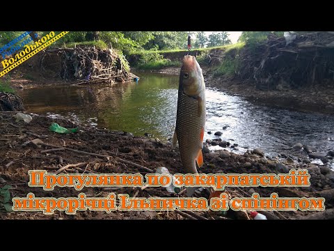 Видео: Прогулка по закарпатской микроречке Ильничка со спиннингом