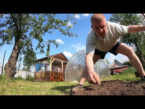 Видео: Весенние посадки июня 2025 г.