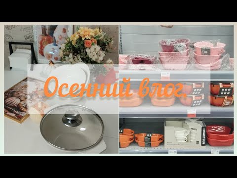 Видео: 25 октября 2025 г.