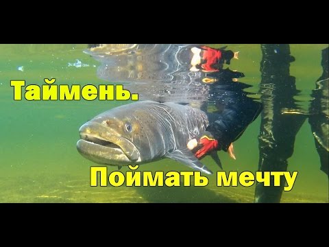 Видео: АТАКА ТАЙМЕНЯ на воблер. Счастливые люди Сибири. Рыбалка на Севере.