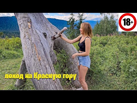 Видео: Поход на Красную гору.