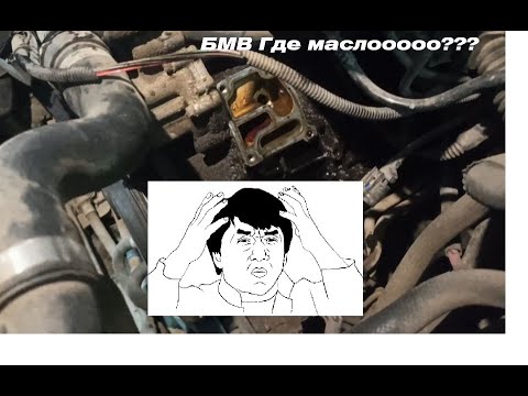 Видео: Куда пропадает масло с двигателя БМВ? Замена прокладки масло стакана