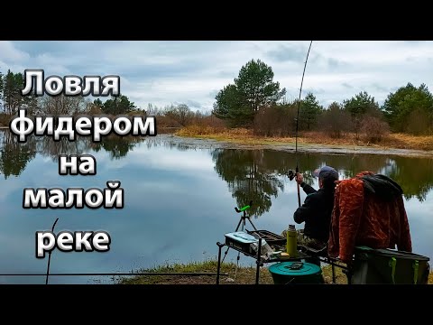 Видео: Фидерная ловля на малой реке весной. Рыбалка на реке Илия.