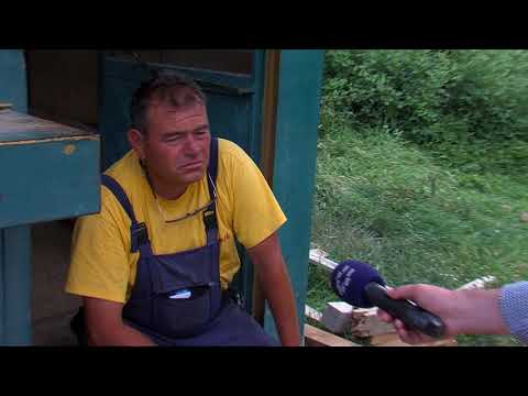 Видео: Во престрелка со „Тигрите“ убиен бегалец, осуден на 26 години затвор за 16 тешки кривични дела