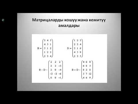 Видео: МАТРИЦА, ВЕКТОР маткад кыргызча