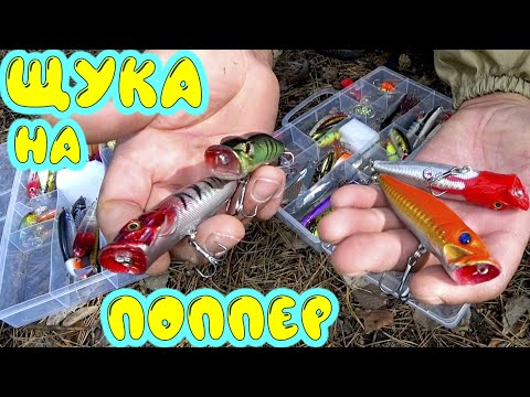 Видео: ЛОВЛЯ ЩУКИ НА ПОВЕРХНОСТНЫЕ ПРИМАНКИ. Рыбалка на поппер в мелководной реке. РЫБАЛКА на СПИННИНГ.