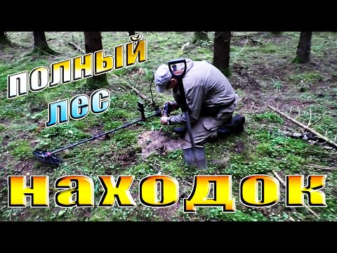 Видео: КОП В ОСЕННЕМ ЛЕСУ. НАШЛИ ЕЩЕ ОДНУ НЕ БИТУЮ СЕЛУХУ. Кладоискатель Руся.