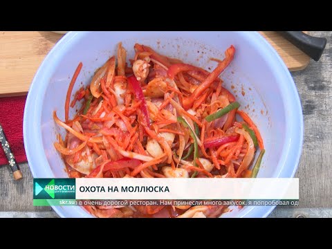 Видео: Ракушка по-корейски. Собираем и готовим