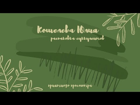 Видео: Распаковка посылки с суккулентами🪴