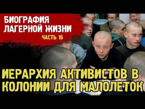 Видео: ИЕРАРХИЯ АКТИВИСТОВ НА ЗОНЕ / КРАСНЫЕ / КОЗЛЫ / БИОГРАФИЯ