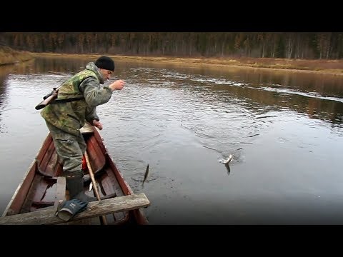 Видео: ДИКИЙ ЖОР ХАРИУСА! РЫБАЛКА НА КОРАБЛИК ПОЗДНЕЙ ОСЕНЬЮ! ЗАГОТОВКА РЫБЫ В ПРОК!