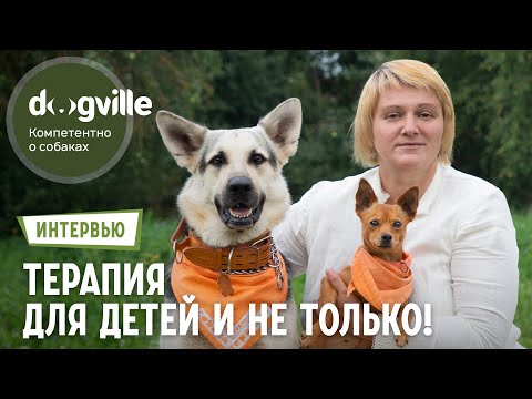 Видео: Канистерапия – что это? – Интервью с канистерапевтом и владелицей питомника