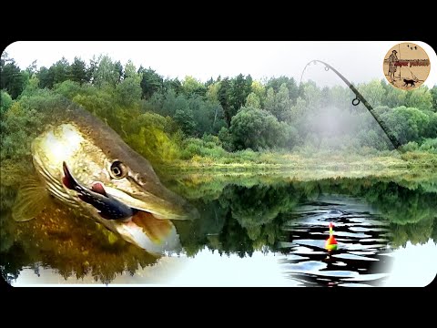 Видео: КАК ЛОВИТЬ ЩУКУ НА ПОПЛАВОК С БЕРЕГА,ТЕХНИКА ЛОВЛИ.fishing,bushcraft,nature,camping.