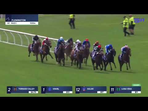 Видео: Группа пластин Дарли-Марибирнонг 3, 2 года | Долина Торнадо